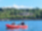 BoatTourWestCork.jpg