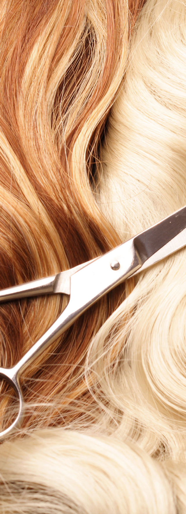 Professional Hair Service from Lily, Coppell, TX