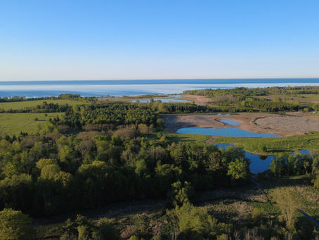 Central Lake Ontario Conservation Authority and Ducks Unlimited Canada restore over 10 hectares of coastal wetlands and secure future funding