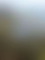 CLOCA receives $1.6M in federal funding for Improving Climate Resiliency of Oshawa Second Marsh