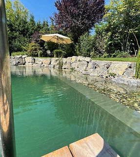 WhatsApp Image 2022-08-19 at 07.48.24 (1).jpeg