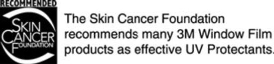 10SkinCancerartblkrevsm.jpg