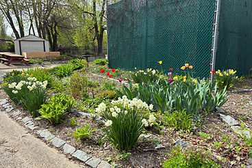 Gardening Day at The Castle