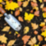 Gardening Day at The Castle