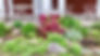 Gardening Day at The Castle: Evening Session