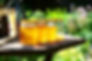Beekeeping Workshop at the BHS Castle