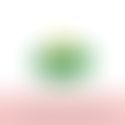 Senior SMART Factory Manager 