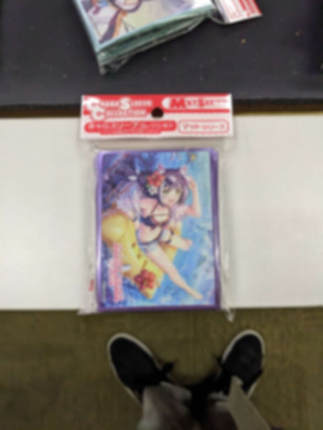 Card Sleeve Mat Series Princess Connect! Re: Dive Karyl (Summer) (No.MT1645)