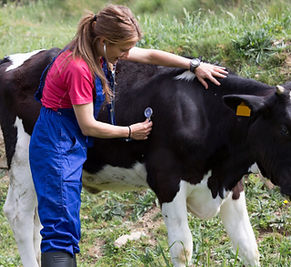 Screenshot 2026-02-13 at 7.18.56 PM.png