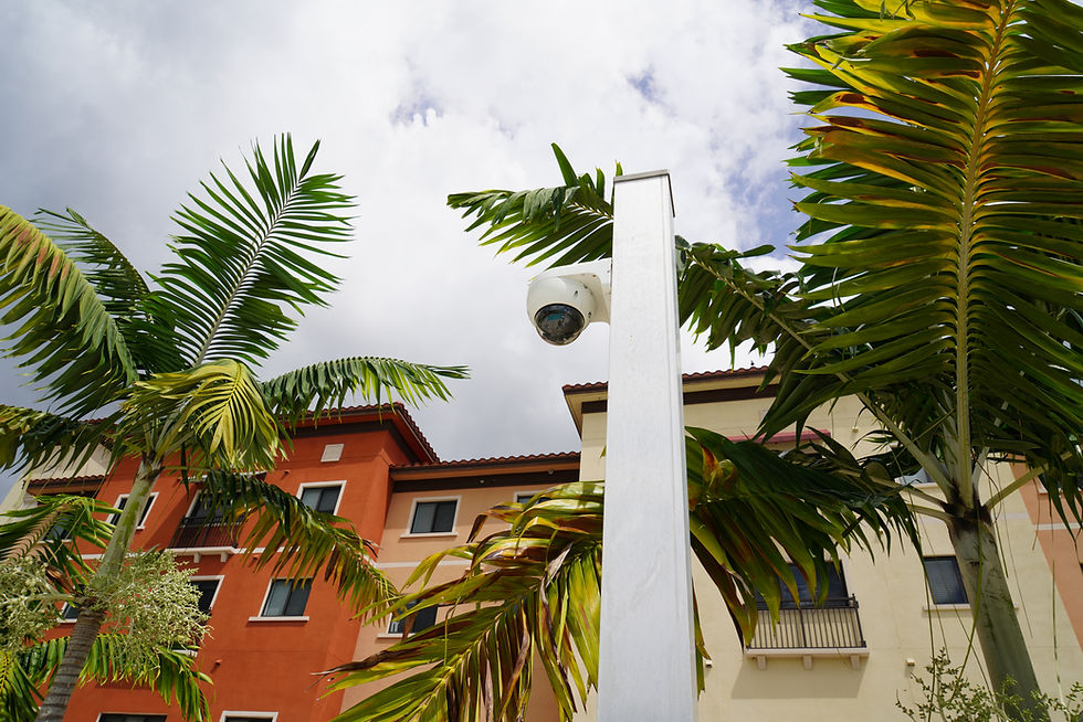 Outdoor security camera mounted on a pole beside palm trees and a residential building.