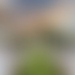 Choosing a Weekday Wedding Day