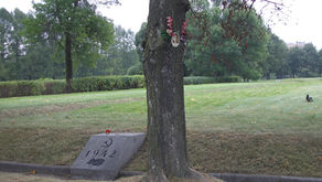 The Only “Nazis” in Ukraine are Putin's Military Commanders and Soldiers