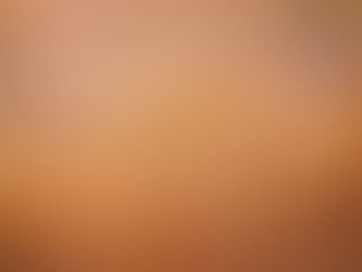 Time Flies When You're Having Fun!