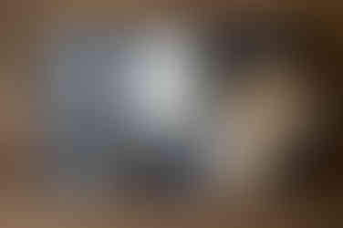 Tableware on a table.