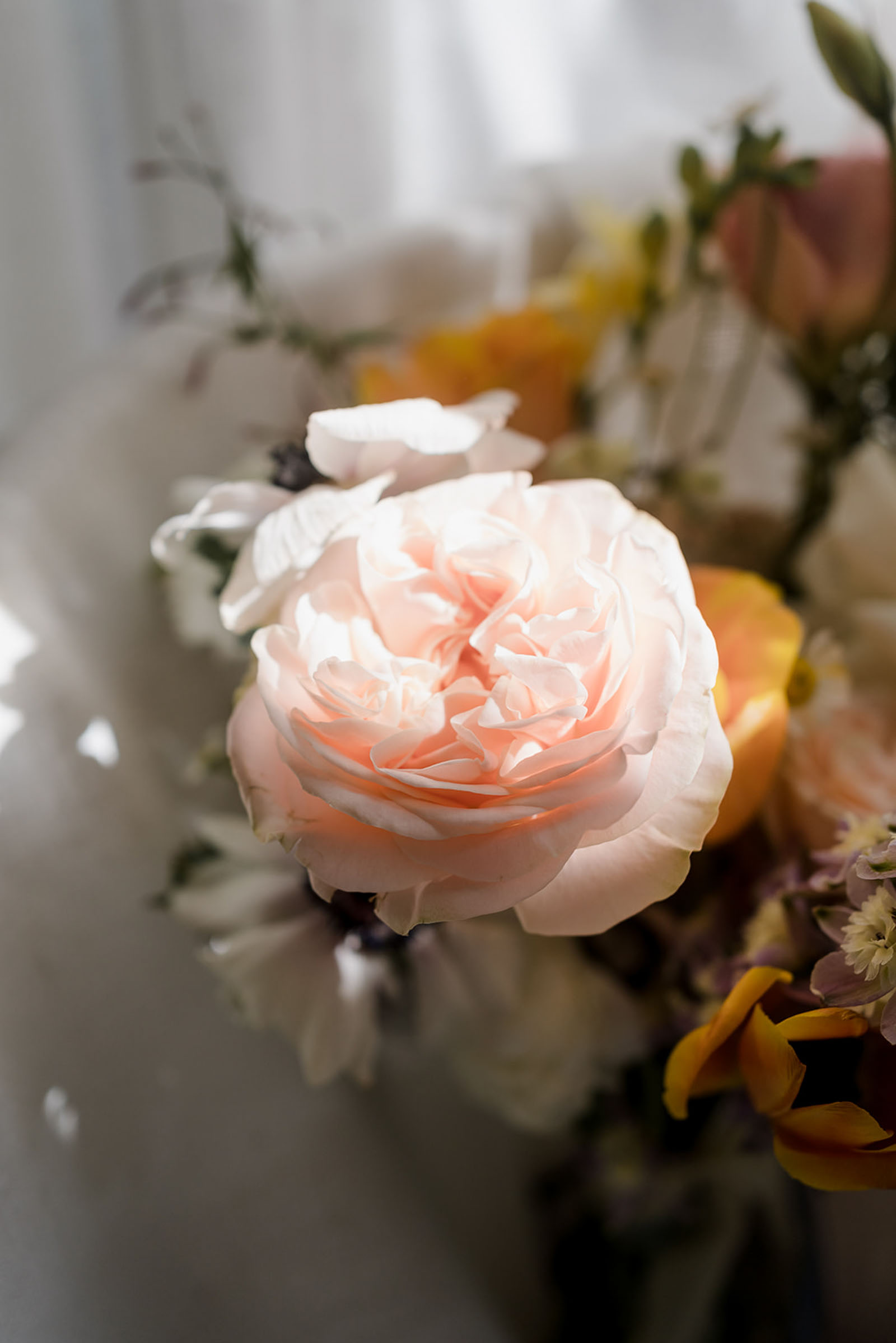Tropical Romance & Co. — photo 12 of 18