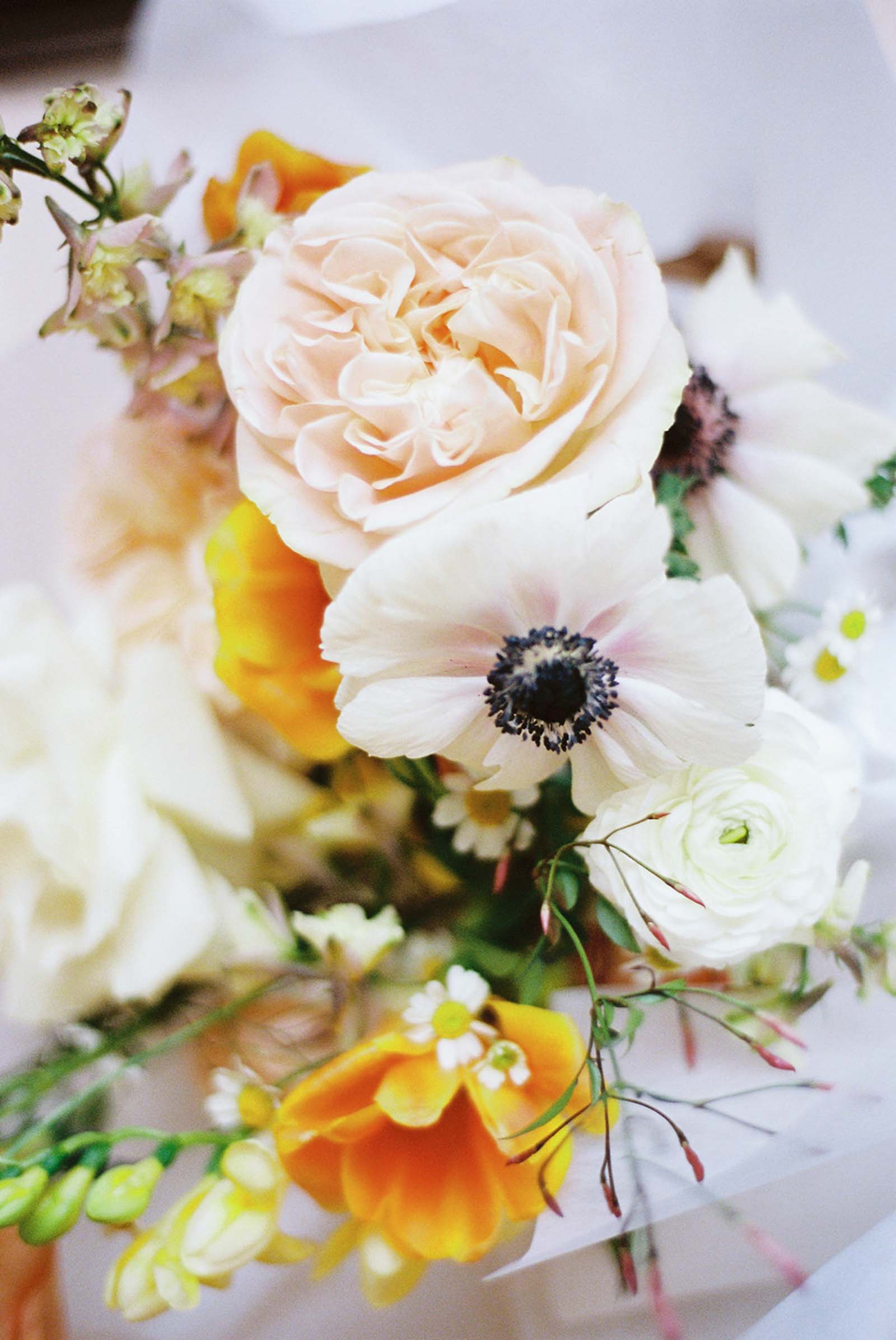 Tropical Romance & Co. — photo 15 of 18