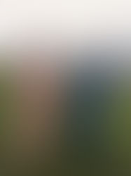 MATHEW & MATTHEW | Tiffany's Maleny Wedding