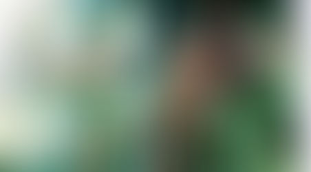 Uncharted: Drake's Fortune