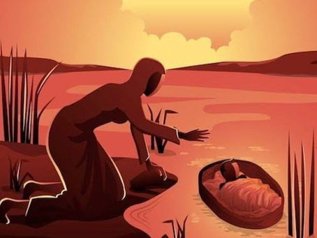 GUARDIÃS DA LIBERTAÇÃO: O IMPACTO DAS MULHERES SENSÍVEIS A DEUS