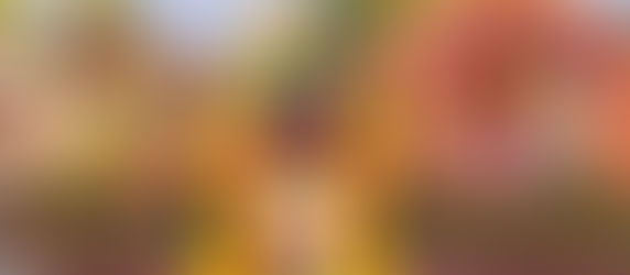 Chiang Mai Flower Festival 2025