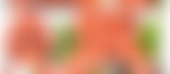 Two Days of Outings & Adventures