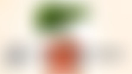 以下是7个肝脏受损的迹象