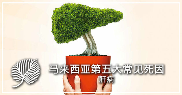 以下是7个肝脏受损的迹象