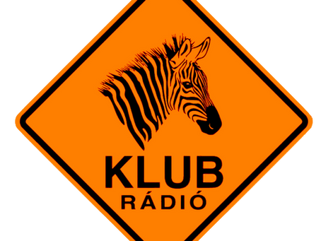 A nemzetközi és magyar nőtörténeti kutatások