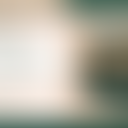 Kötetbemutató: Mihalik Béla - A kaméleonos udvar