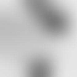 SA Ducs d'Angers - Saison 2023/2024 -Attribution d'une subvention