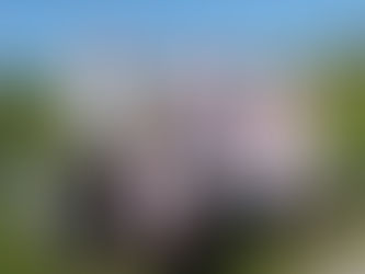 Xira Golfe vence  Bom-Sucesso