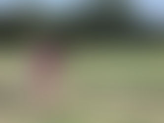 Simone Costa e Silva vence entre os jovens e o Jeff Wilson nos adultos!