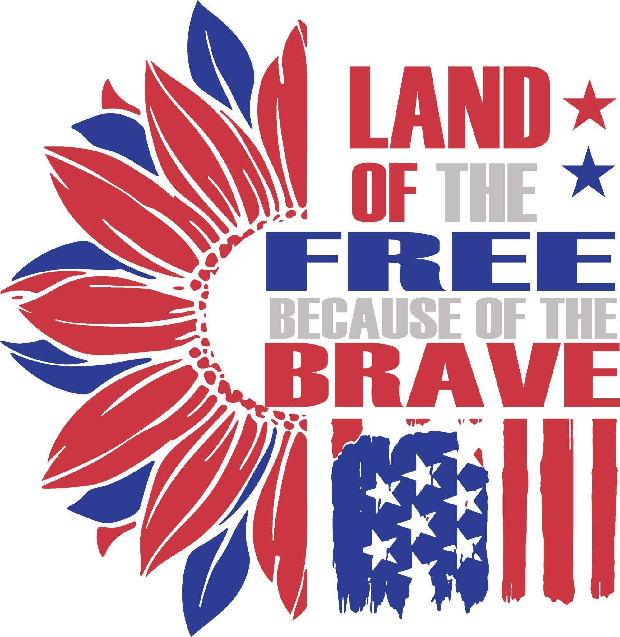 Land of the free, DTF print