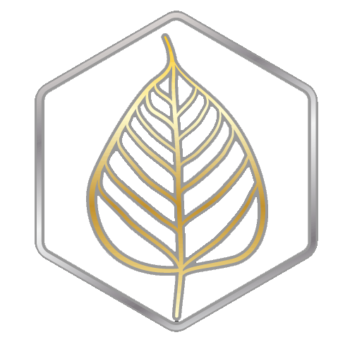Logo 1 Pic Transp.gif