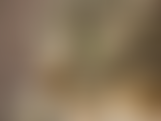 Kitty Godmother Test Post 20191005