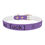 Thumbnail: Safe as Fuck Dog Collar – Because Your Dog Deserves to Flex Too