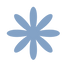 APsi Logo simples