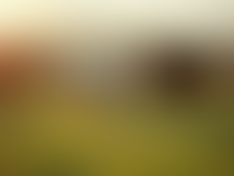 The Benefits of Raising Your Own Livestock