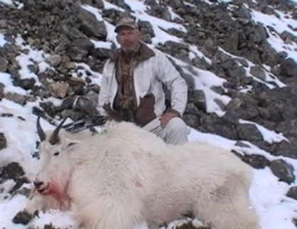 Goat 1.jpg