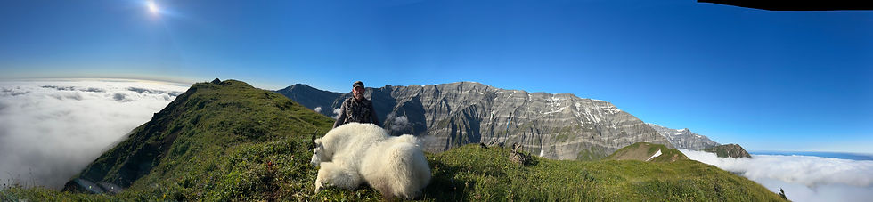 Mt. Goat Panarama.jpg