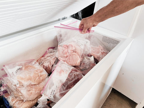 Refrigerator and Deep Freeze cleanout