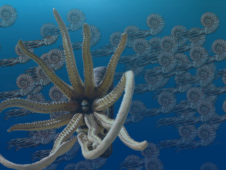 Ismeretlen ismerősök: az Ammonoideák titkos élete