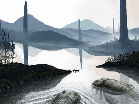 Amikor a gombák az égig értek