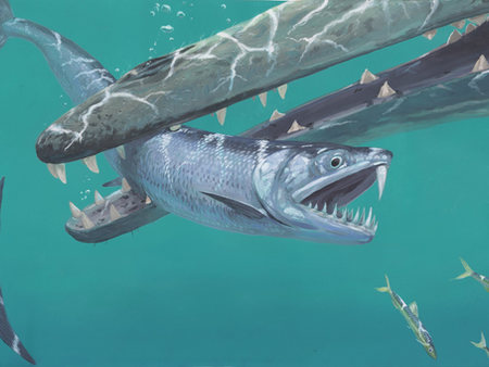 Kardfogú óriás szardellák népesítették be a tengereket 45 millió éve