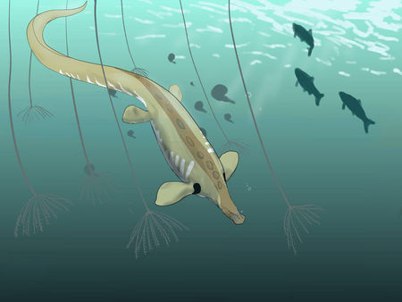 A kacsacsőrű emlősre hasonlíthatott a különös tengeri hüllő