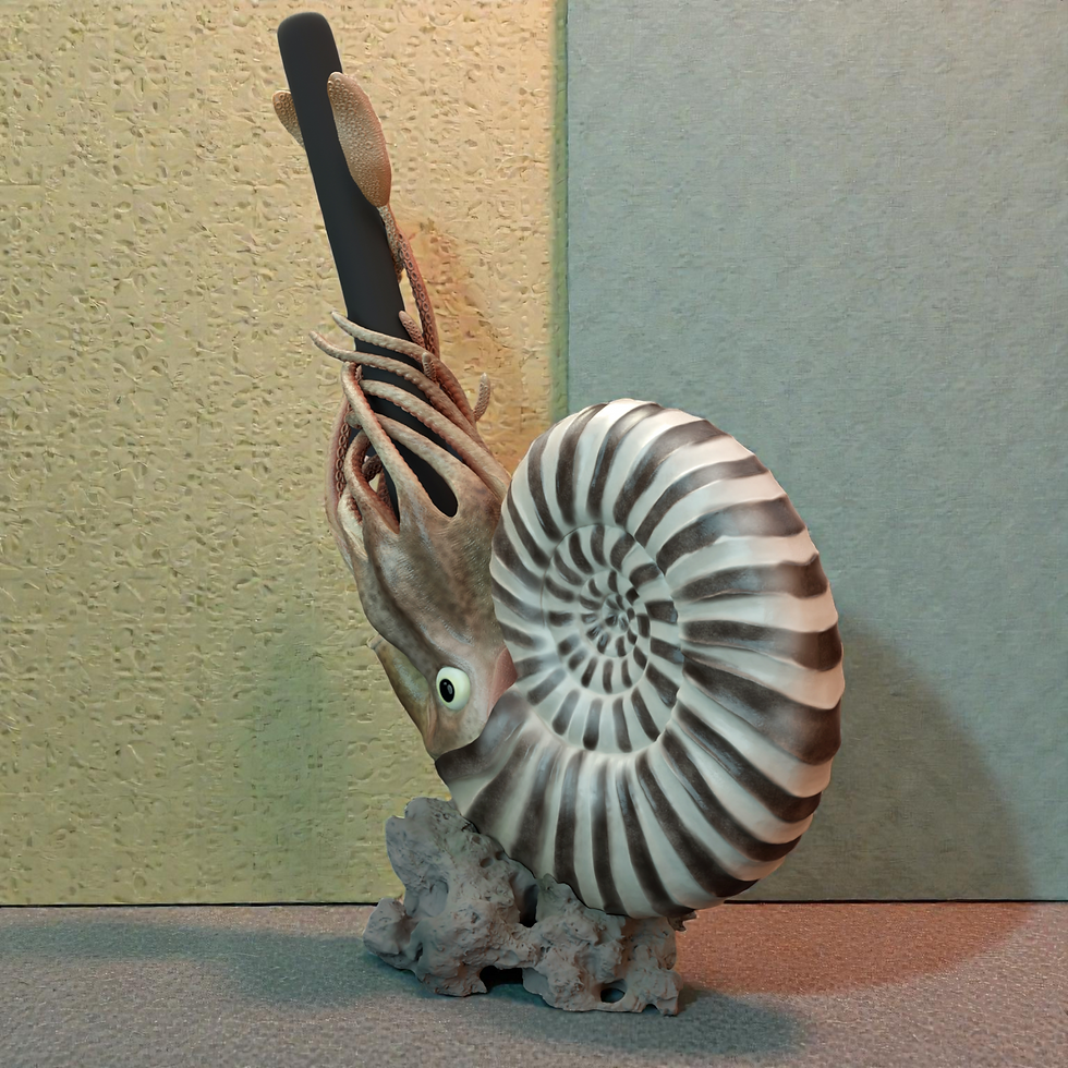 Indexkép: Ammonitesz asztali tolltartó figura