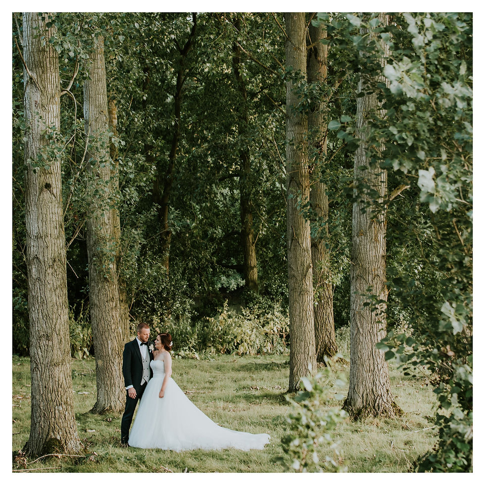 SbN Wedding Brochure (Middle Page)