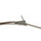 Thumbnail: WWII Leather Liner Strap With Green Steel Buckle (Blemished)