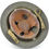 Thumbnail: Original Early-WW2 U.S. McCord M1917A1 Helmet Set (1941) For Sale