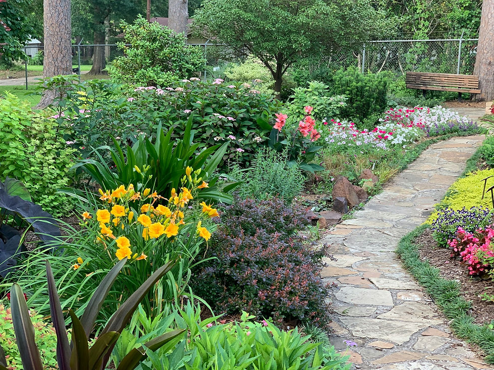 Garden path with flowers and plants